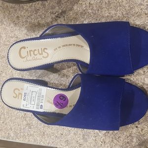 Blue heel shoe, size 6½